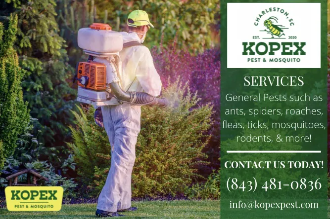 Kopex Pest Control Picture 2