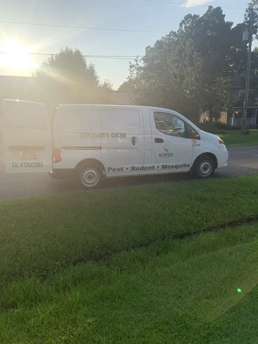 Kopex Pest Control Picture 9