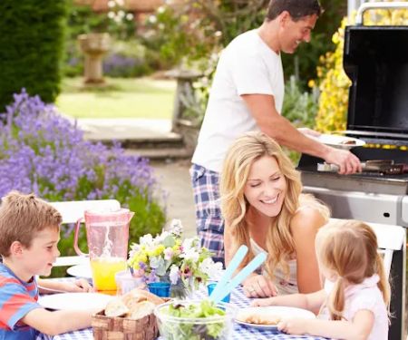 MosquitoNix Mosquito Control and Misting Systems