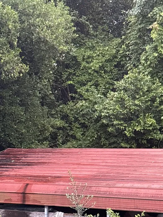 ProForce Pest Control - Charleston Picture 1