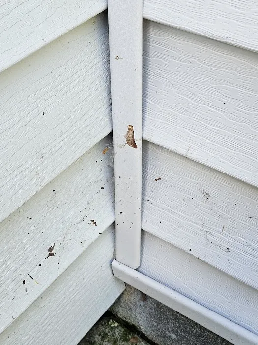 ProForce Pest Control - Charleston Picture 9
