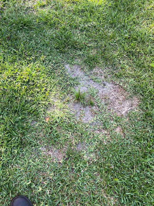 ProForce Pest Control - Charleston Picture 5