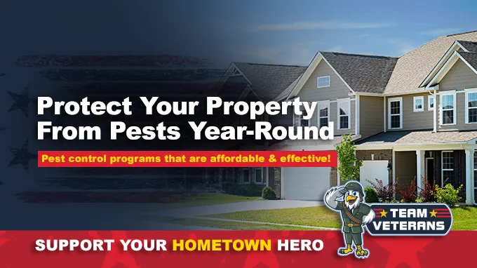 Team Veterans Pest Control Picture 6