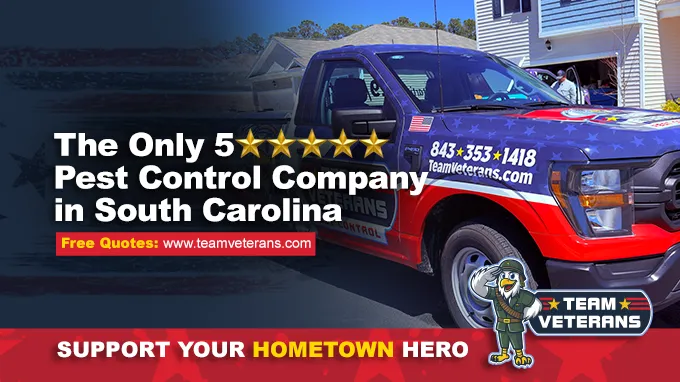 Team Veterans Pest Control Picture 5