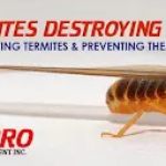 Allpro Pest Management Inc.