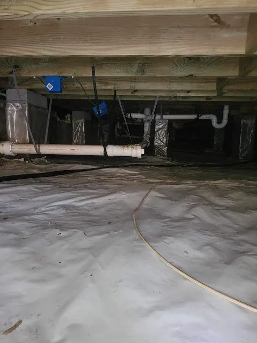 Allpro Pest Management Inc. Picture 3