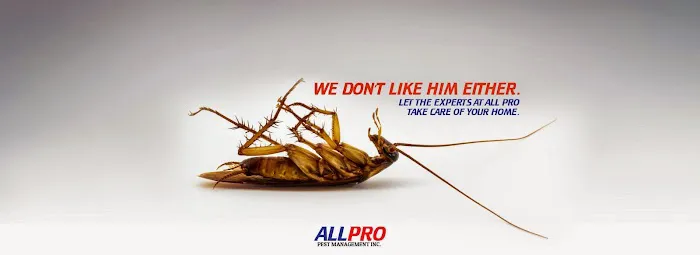 Allpro Pest Management Inc. Picture 2