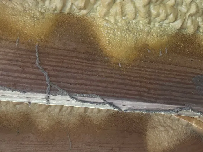 Spartina Pest Management Picture 6