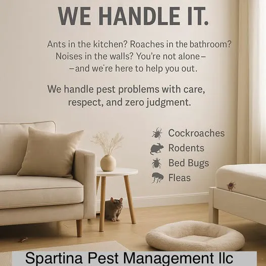 Spartina Pest Management Picture 8