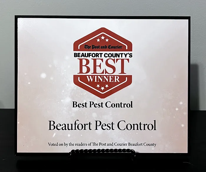 Beaufort Pest Control, LLC Picture 4