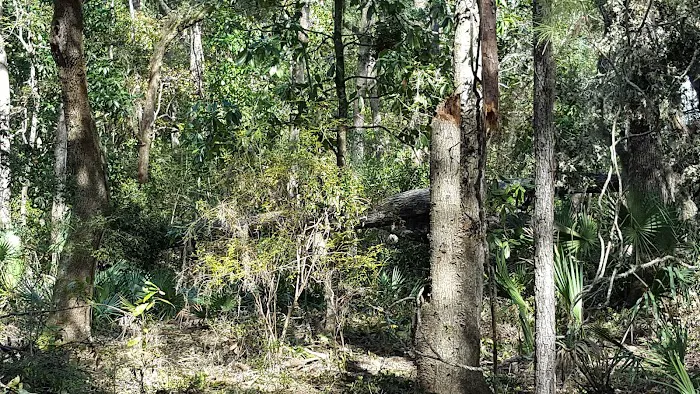 Apex of Edisto Pest Management Picture 1