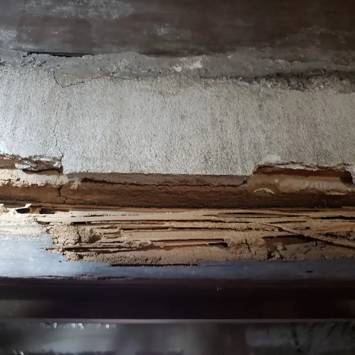 Lexington Termite & Pest Control Picture 7
