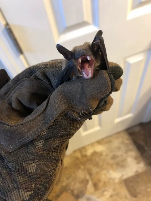 Wild Shield Wildlife Removal Picture 1