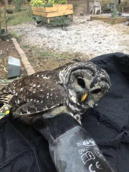 Wild Shield Wildlife Removal Picture 9