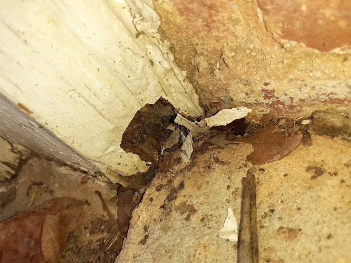 Brett's Pest Control Inc. Picture 4