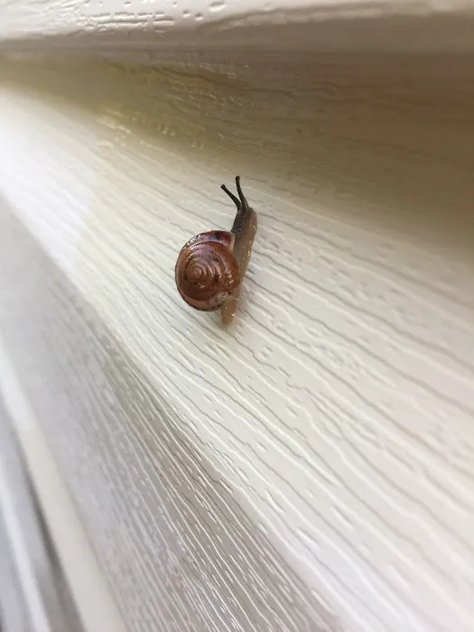 Brett's Pest Control Inc. Picture 7