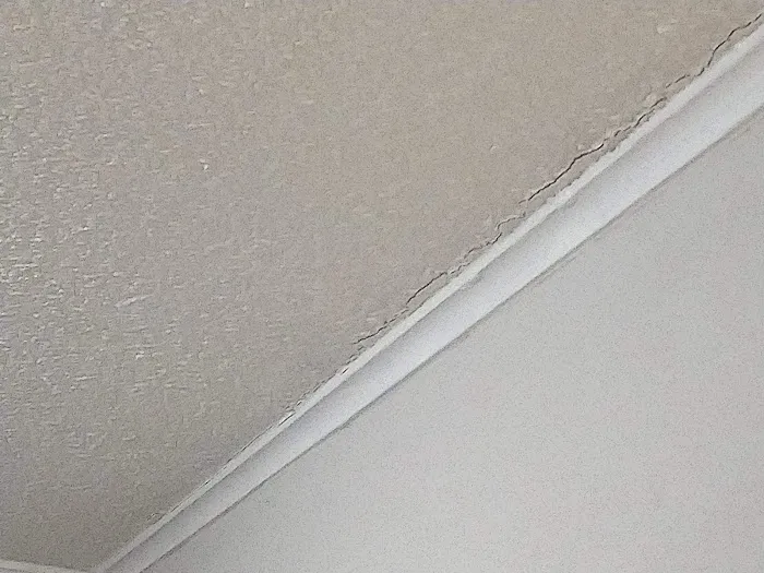 Econ-O-Bug Pest Control Picture 2