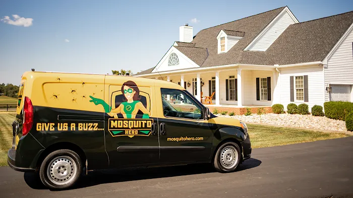 Mosquito Hero Picture 3