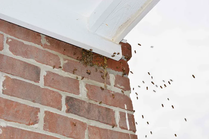 Babers Bee Company Picture 5