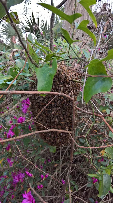 Babers Bee Company Picture 4