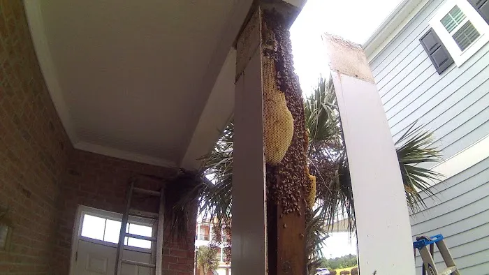 Babers Bee Company Picture 1