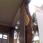 Babers Bee Company