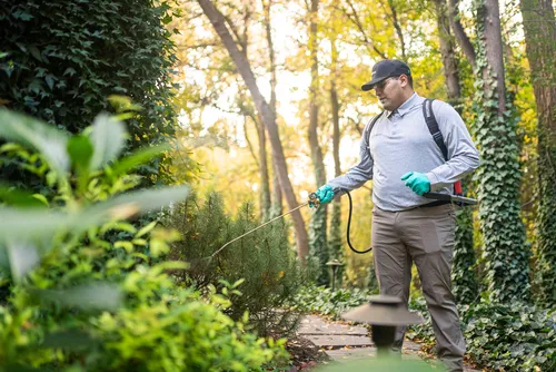 Greenix Pest Control Picture 3