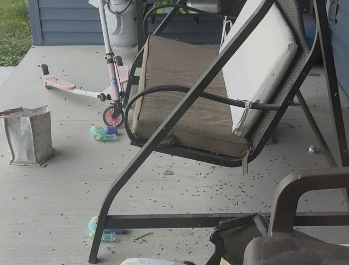 Rose Pest Solutions Saginaw Picture 7