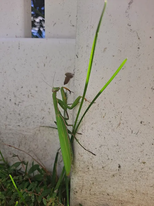 Best Pest & Animal Control Picture 1