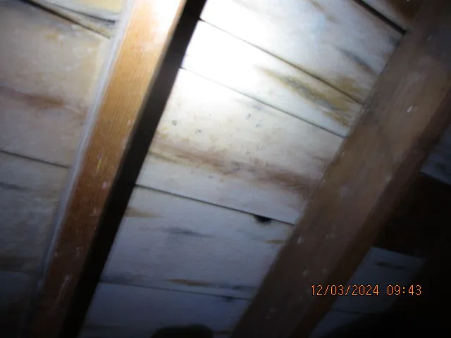 Blue Water Cleaning LLC Picture 7