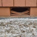 St. Clair County Critter Removal, LLC