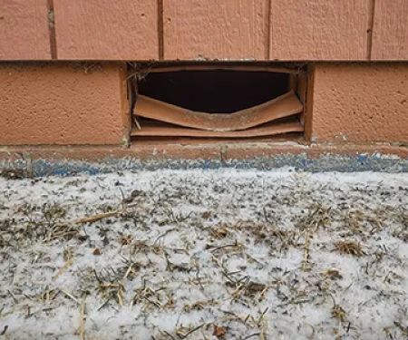 St. Clair County Critter Removal, LLC