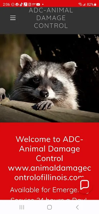 ADC-Animal Damage Control The Best Local Nuisance Wildlife Control & Bat Exclusion Specialist Picture 5