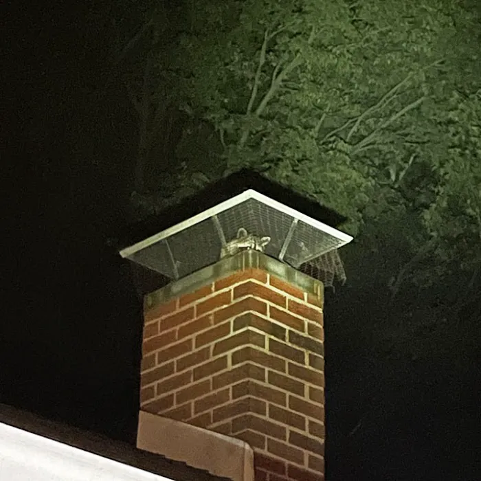 ADC-Animal Damage Control The Best Local Nuisance Wildlife Control & Bat Exclusion Specialist Picture 4