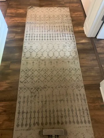 Steam Pro Carpet Cleaning & Pest Control Picture 6