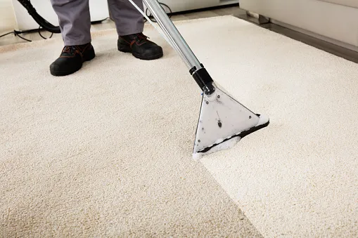 Steam Pro Carpet Cleaning & Pest Control Picture 1