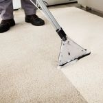 Steam Pro Carpet Cleaning & Pest Control