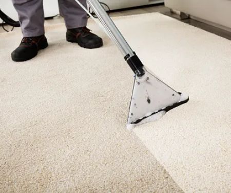 Steam Pro Carpet Cleaning & Pest Control