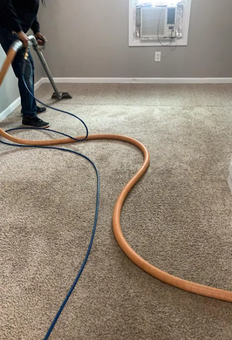 Steam Pro Carpet Cleaning & Pest Control Picture 9