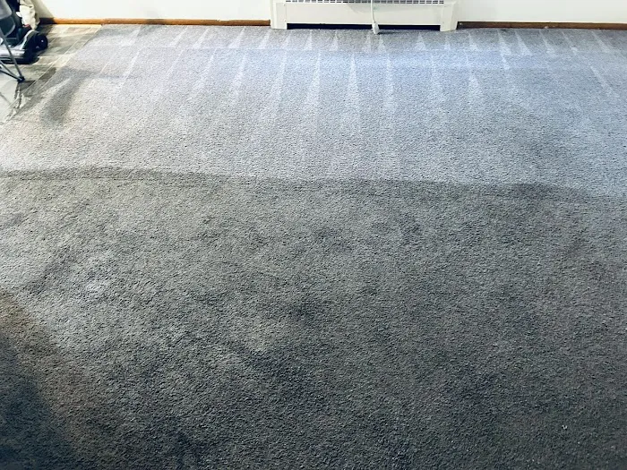 Steam Pro Carpet Cleaning & Pest Control Picture 8