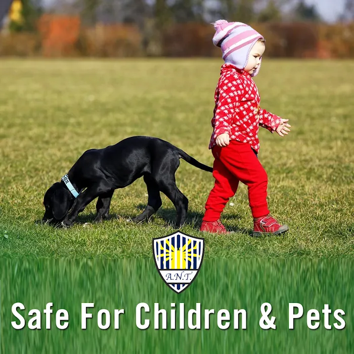 A.N.T. Pest Control Picture 7