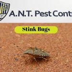 A.N.T. Pest Control