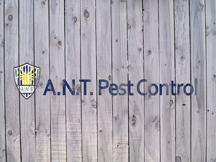 A.N.T. Pest Control Picture 5