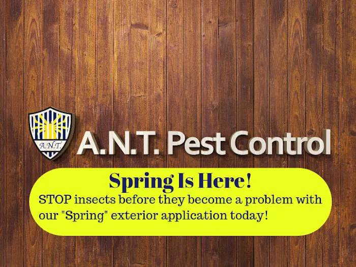 A.N.T. Pest Control Picture 2