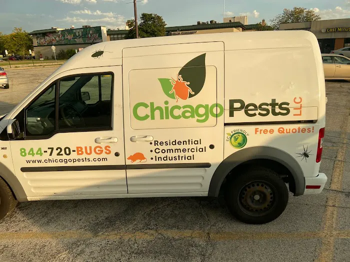 Chicago Pests, LLC Picture 1