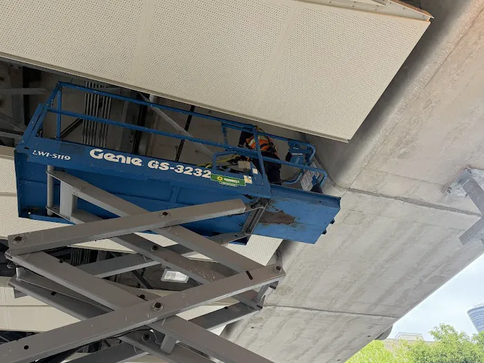 Chicago Pests, LLC Picture 7