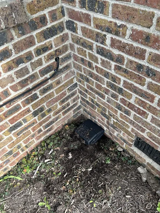 Chicago Pests, LLC Picture 9
