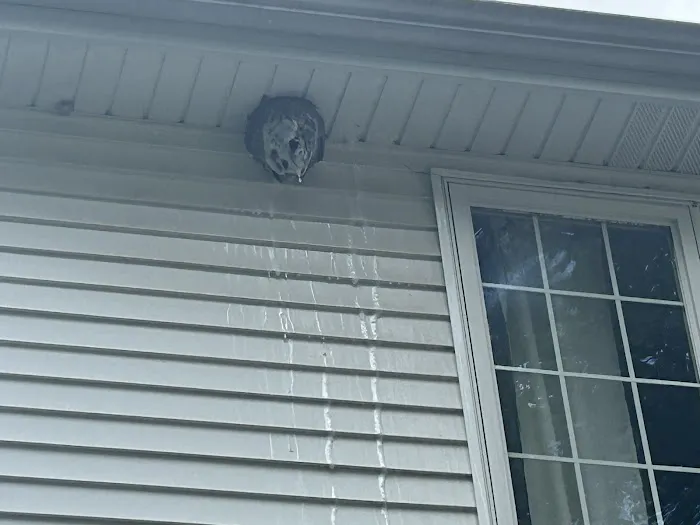 Chicago Pests, LLC Picture 8