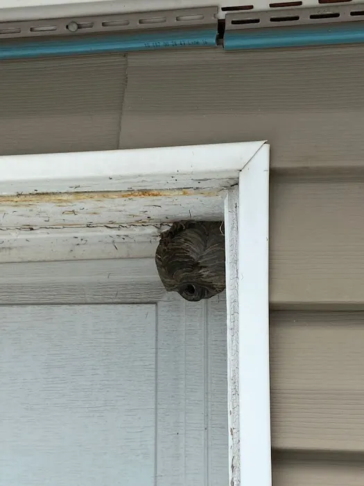 Chicago Pests, LLC Picture 2