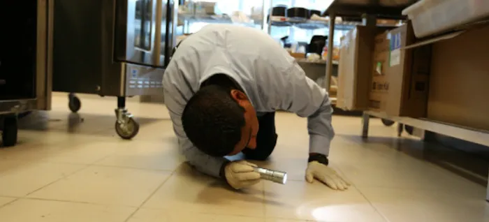 Smithereen Pest Management Services Picture 5